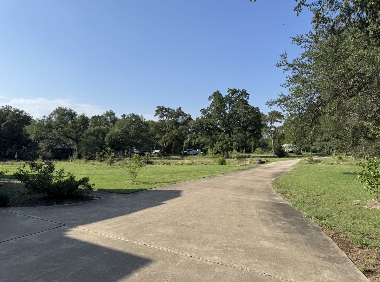 An empty concrete driveway through a lawn lined with live oaks, low-context source image